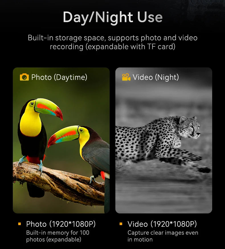 NightVision Elite™ | Binocolo Digitale Infrarossi 1080P - 800m - Visore Notturno Professionale con Schermo 2.8"